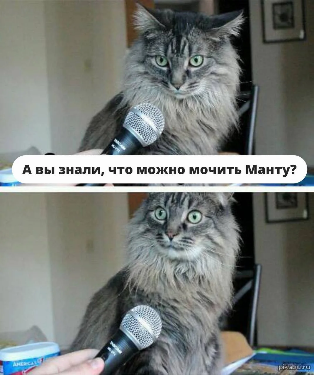 Можно ли мочить Манту?