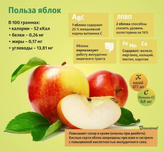 Коротко о важном! Сезонные продукты - Яблоки.