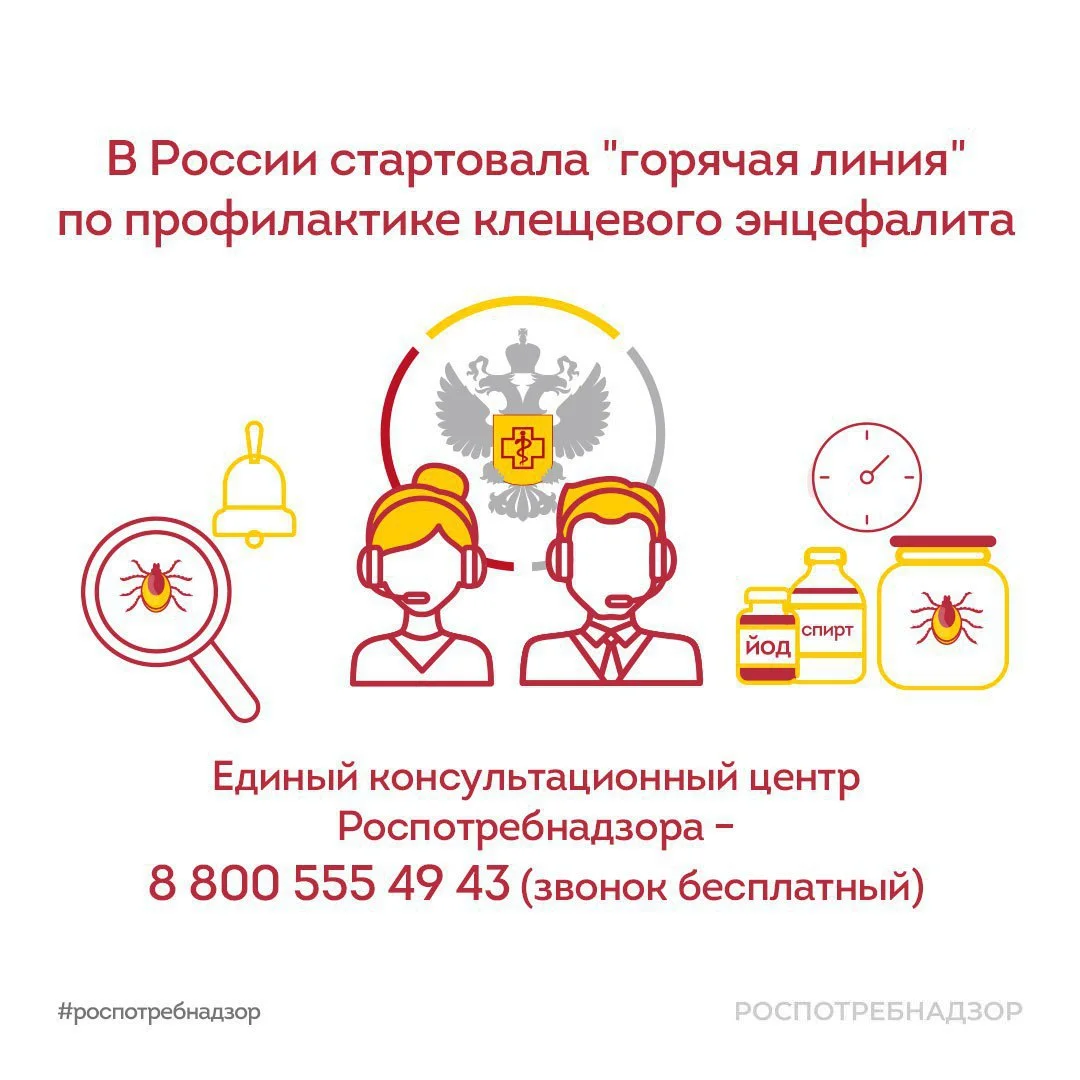  «горячая линия» по вопросам профилактики клещевого энцефалита