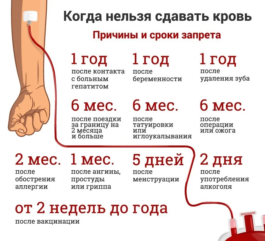 Когда нельзя сдавать кровь?