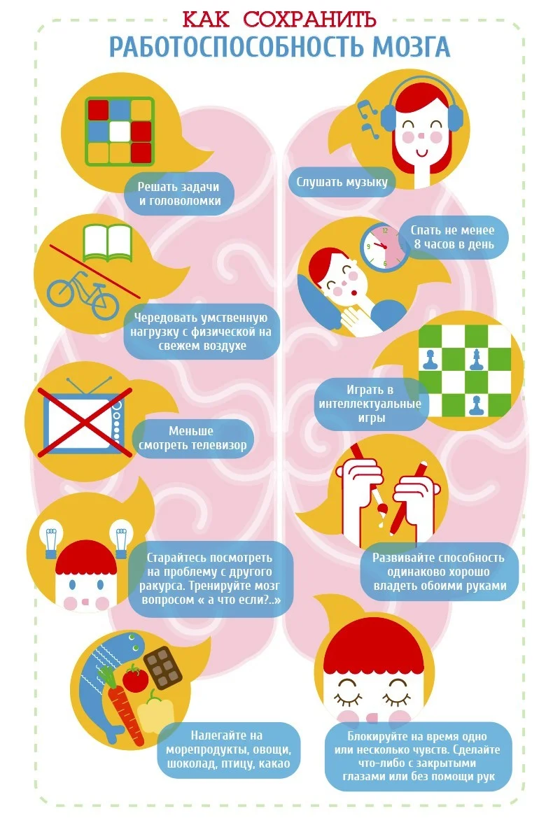 Как сохранить работоспособность мозга?