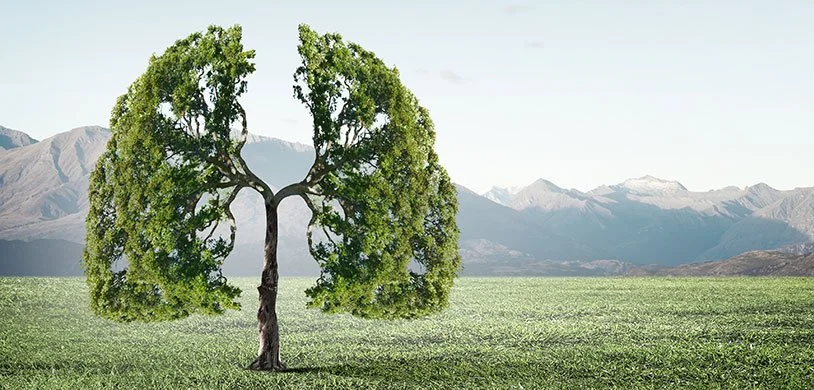 Здоровье легких.