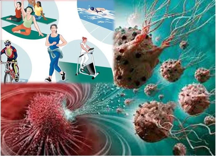 Низкая физическая активность как фактор риска для здоровья