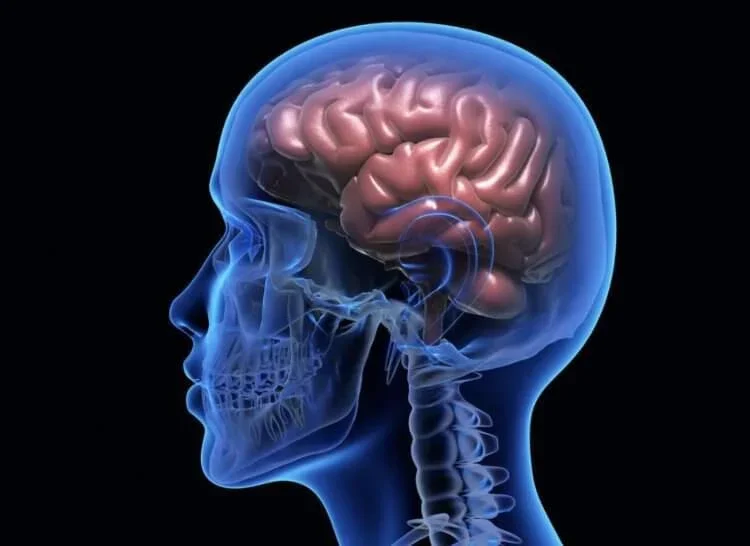 Здоровье головного мозга