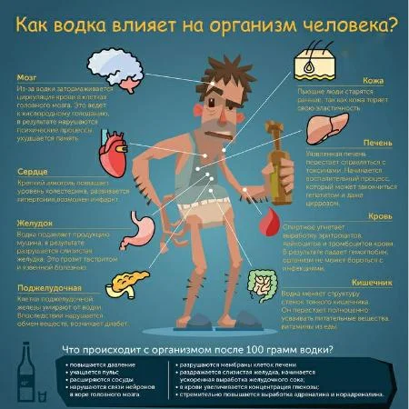 Как водка влияет на организм человека?