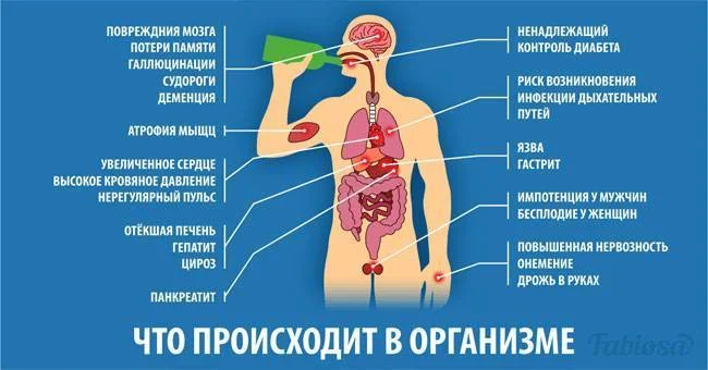 Что происходит в организме при употреблении алкоголя?