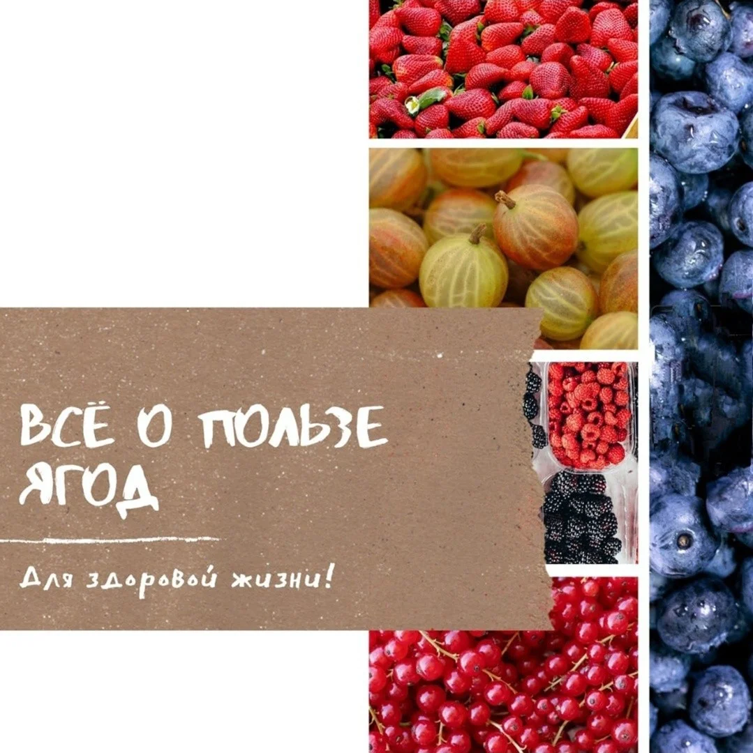 О пользе ягод