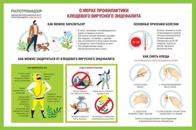 О мерах профилактики вирусного энцефалита