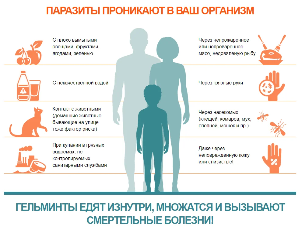 Профилактика энтеробиоза