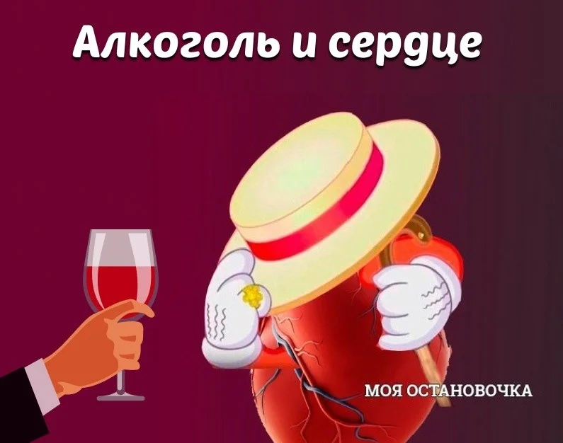 Алкоголь и сердце: разрушительное воздействие на сердечно-сосудистую систему