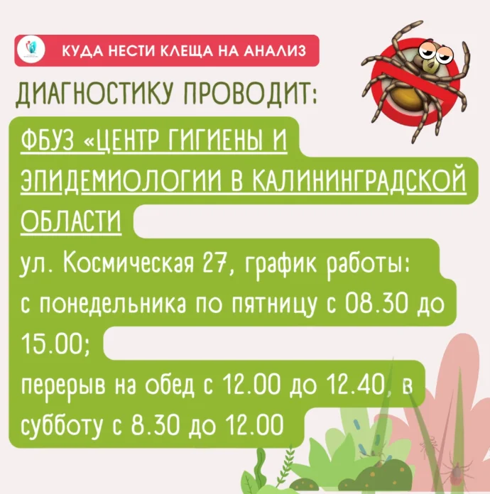 Осторожно! Клещи!