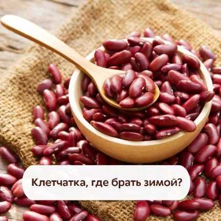 Клетчатка: где брать зимой?