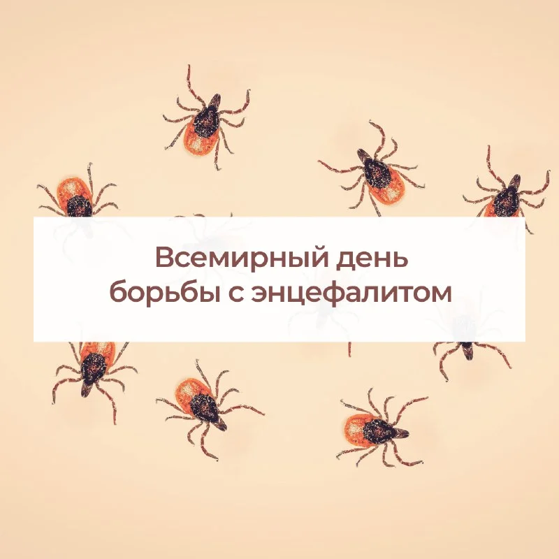 Ежегодно 22 февраля отмечается Всемирный день борьбы с клещевым вирусным энцефалитом.