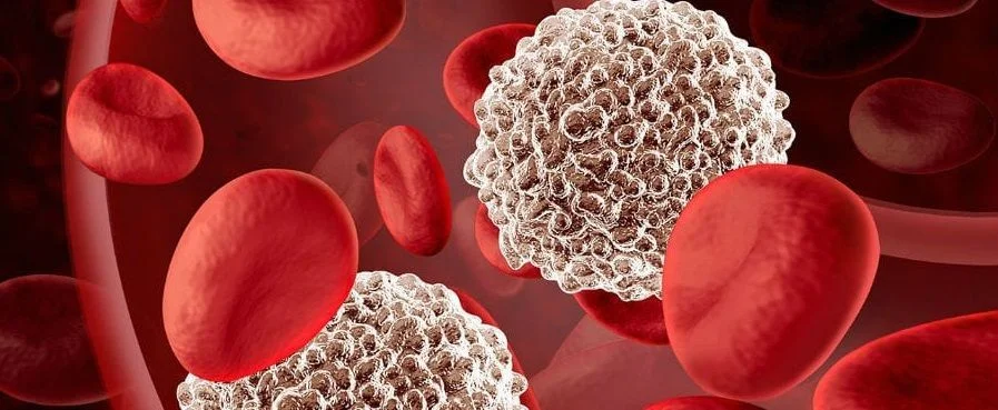 Лейкоциты (лейкоцитарная масса)