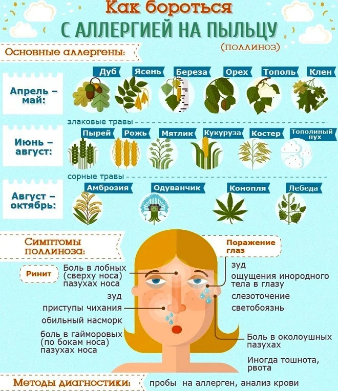 Аллергия на пыльцу