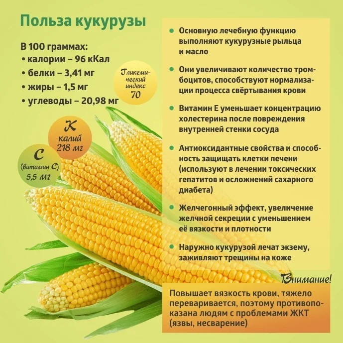 Коротко о полезном. "Кукуруза"