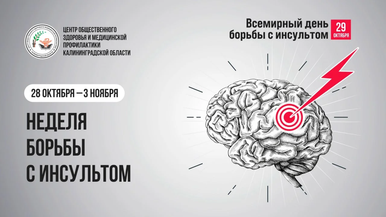 С 28.10. по 03.11.2024 года Министерством здравоохранения РФ объявлена Неделя борьбы с инсультом (в честь Всемирного дня борьбы с инсультом 29 октября).