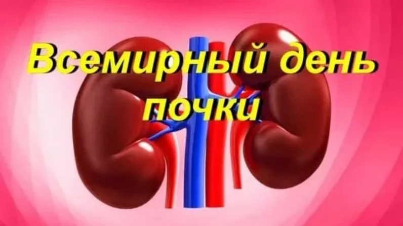 10 марта - Всемирный день почки