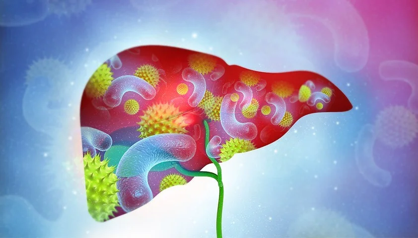 Гормоны при гепатите С