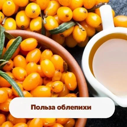Польза облепихи