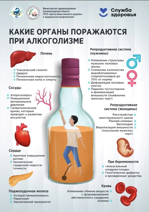 Вред алкоголя