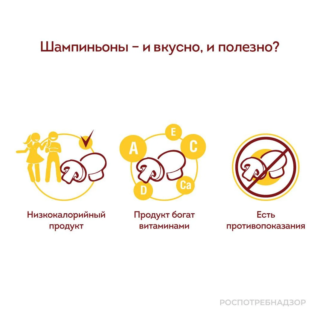 Шампиньоны – вкусно и полезно?