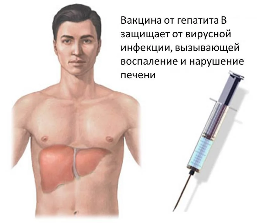 Защити себя от гепатита В – вакцинируйся!