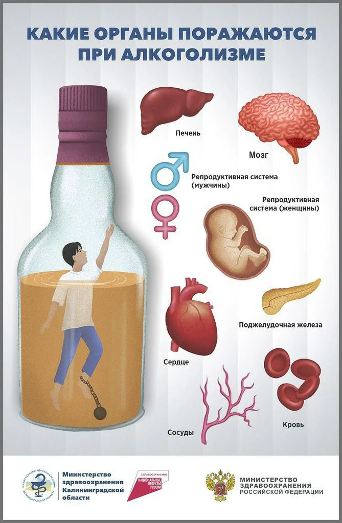 Вред алкоголя