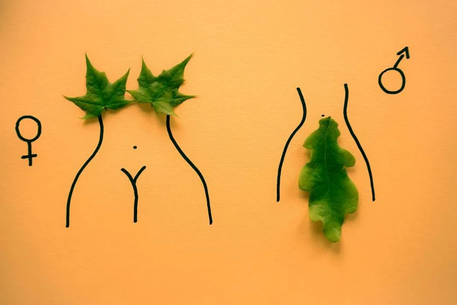 Половое воспитание: говорим с подростком о сексе