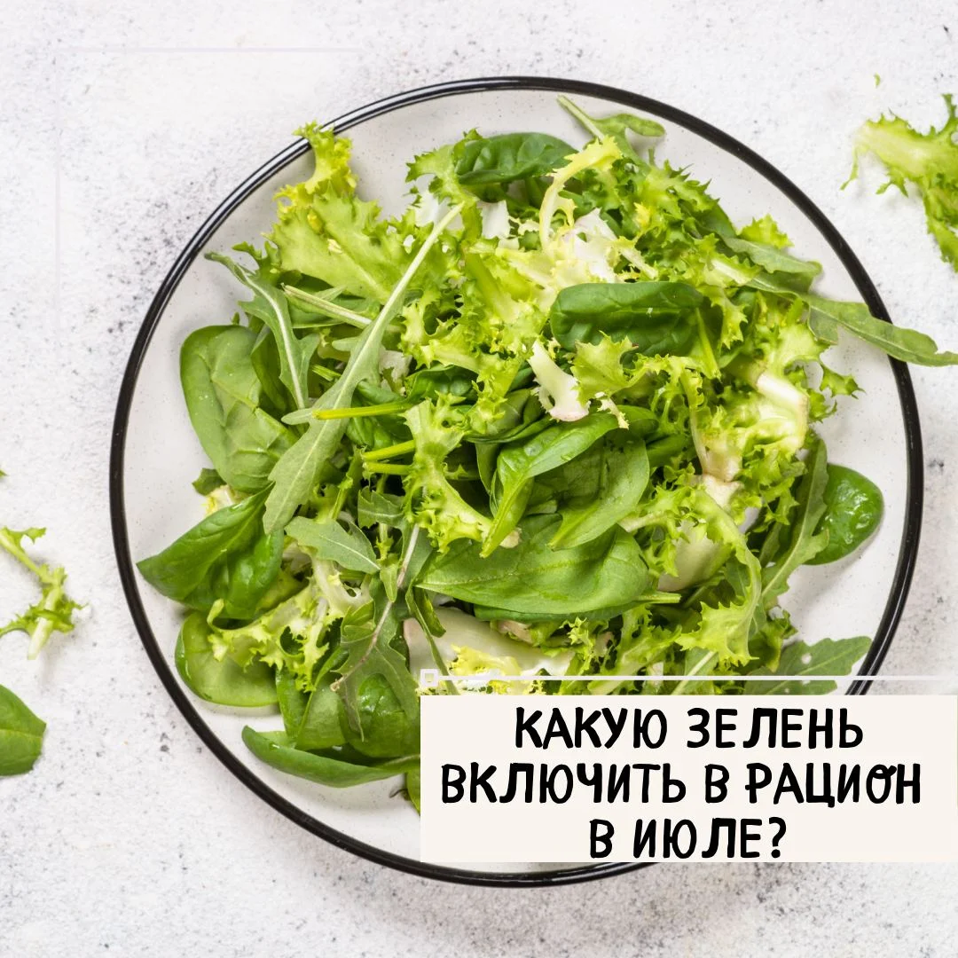 Какие же салаты и листовые овощи стоит включить в рацион в середине лета?