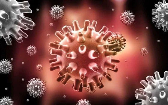 ГЕНИТАЛЬНЫЙ ГЕРПЕС