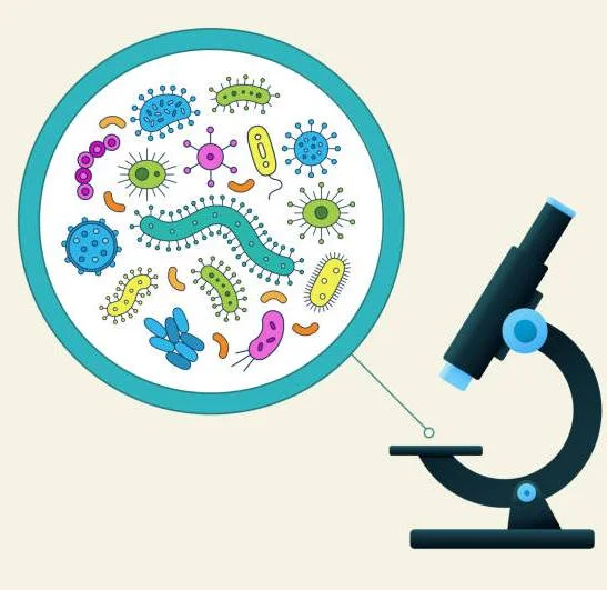 ИППП можно разделить на...