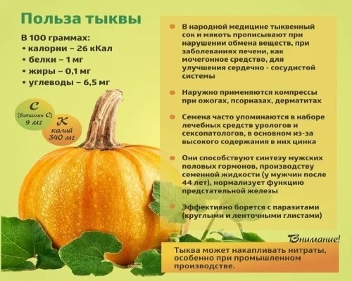 "Коротко о полезном" - ТЫКВА