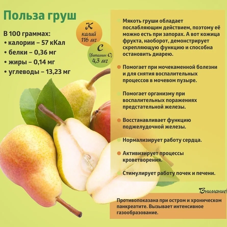 Коротко о полезном. Груша