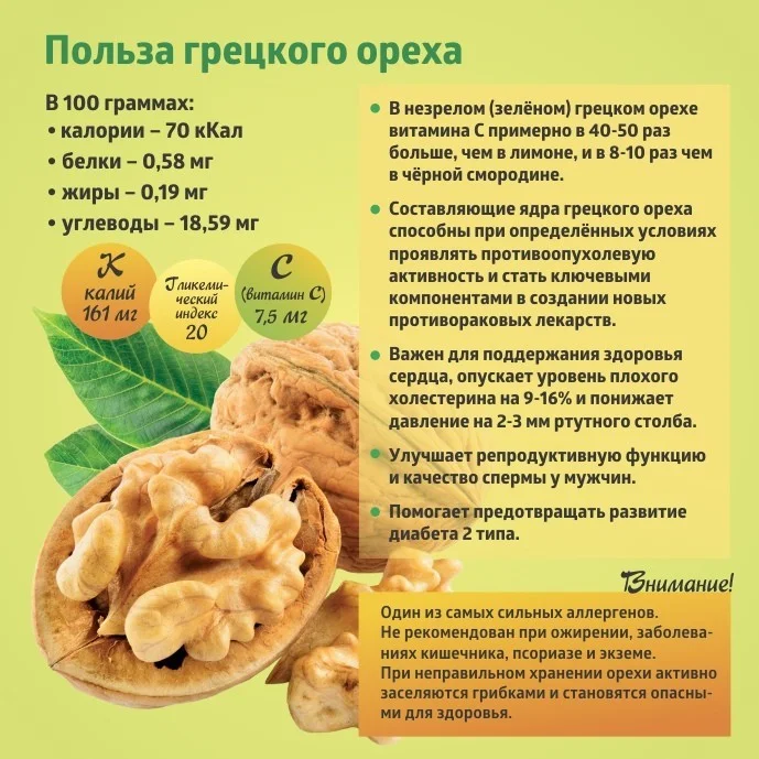 "Коротко о полезном" Грецкий орех