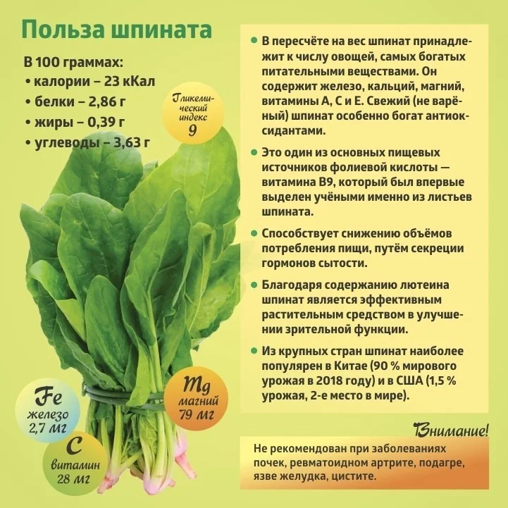 Коротко о полезном. Шпинат