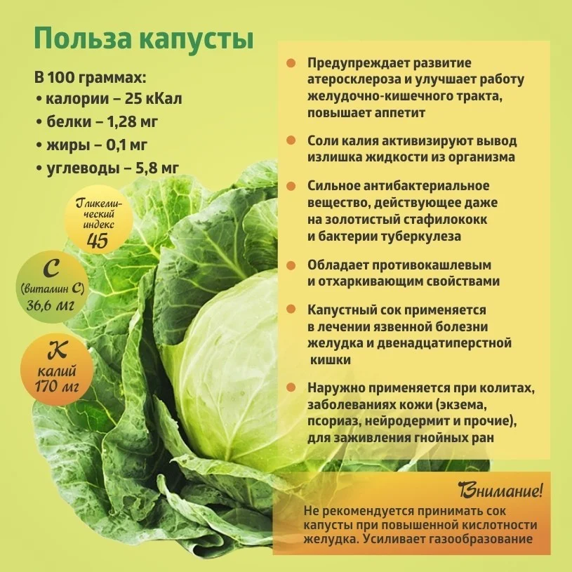 Коротко о полезном. Капуста