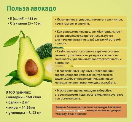 Коротко о важном! Сезонные продукты - Авокадо.