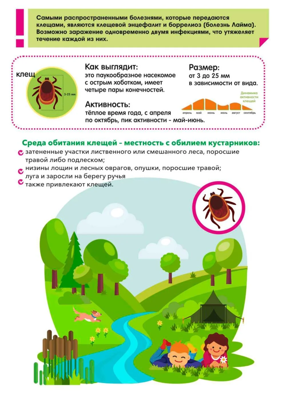 Осторожно! Клещи!