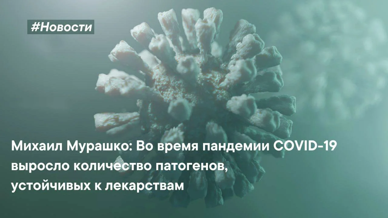 Во время пандемии COVID-19 выросло количество патогенов, устойчивых к лекарствам