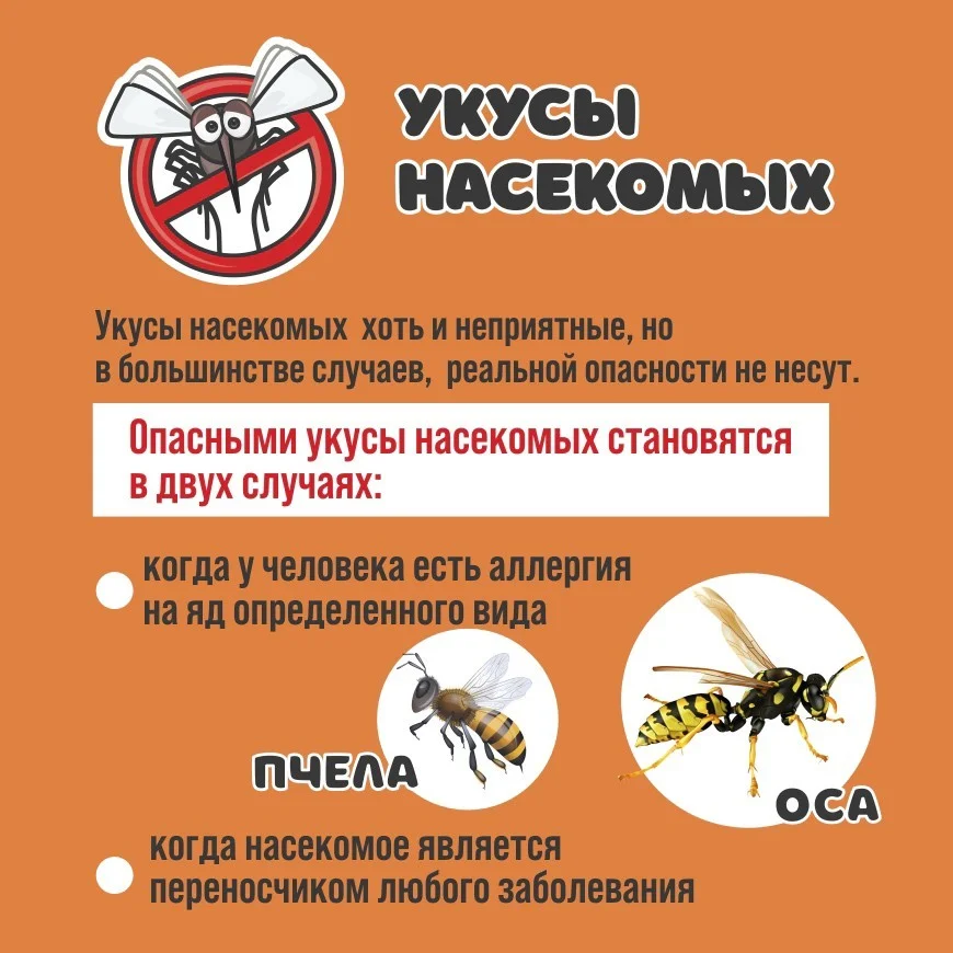 Укусы насекомых