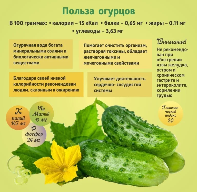 Коротко о полезном. "Огурец"