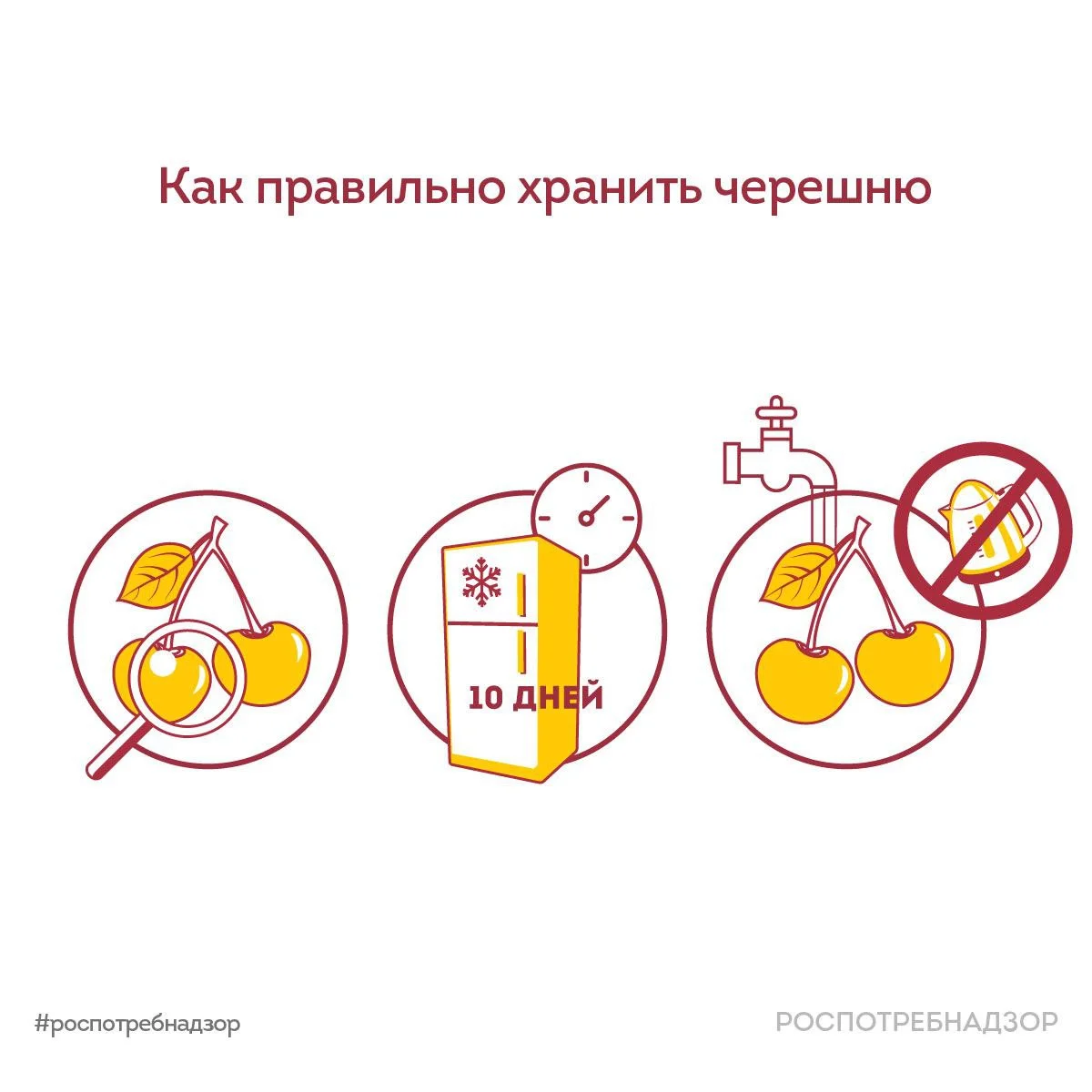 Как правильно хранить черешню?