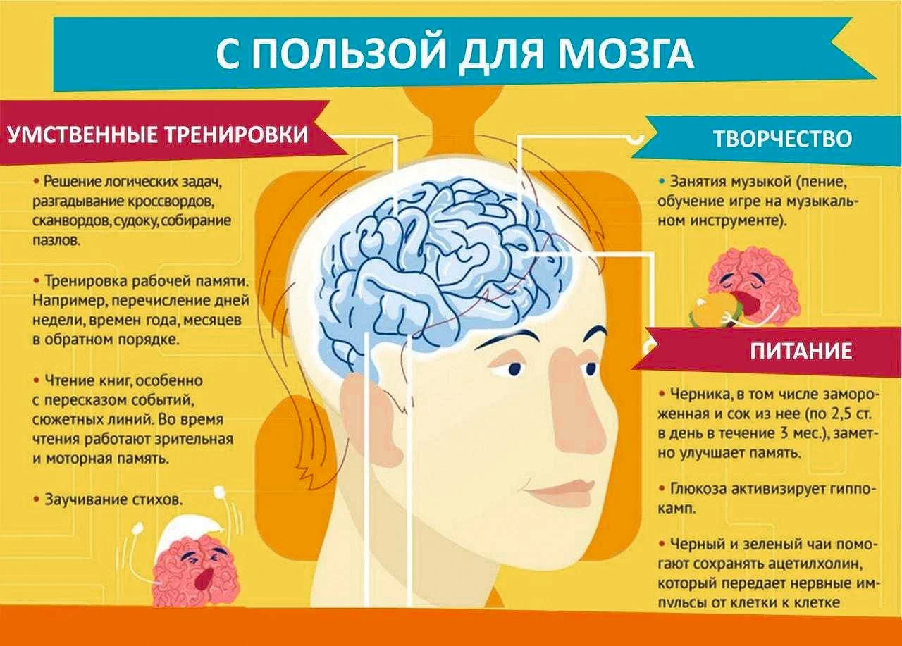 С пользой для мозга
