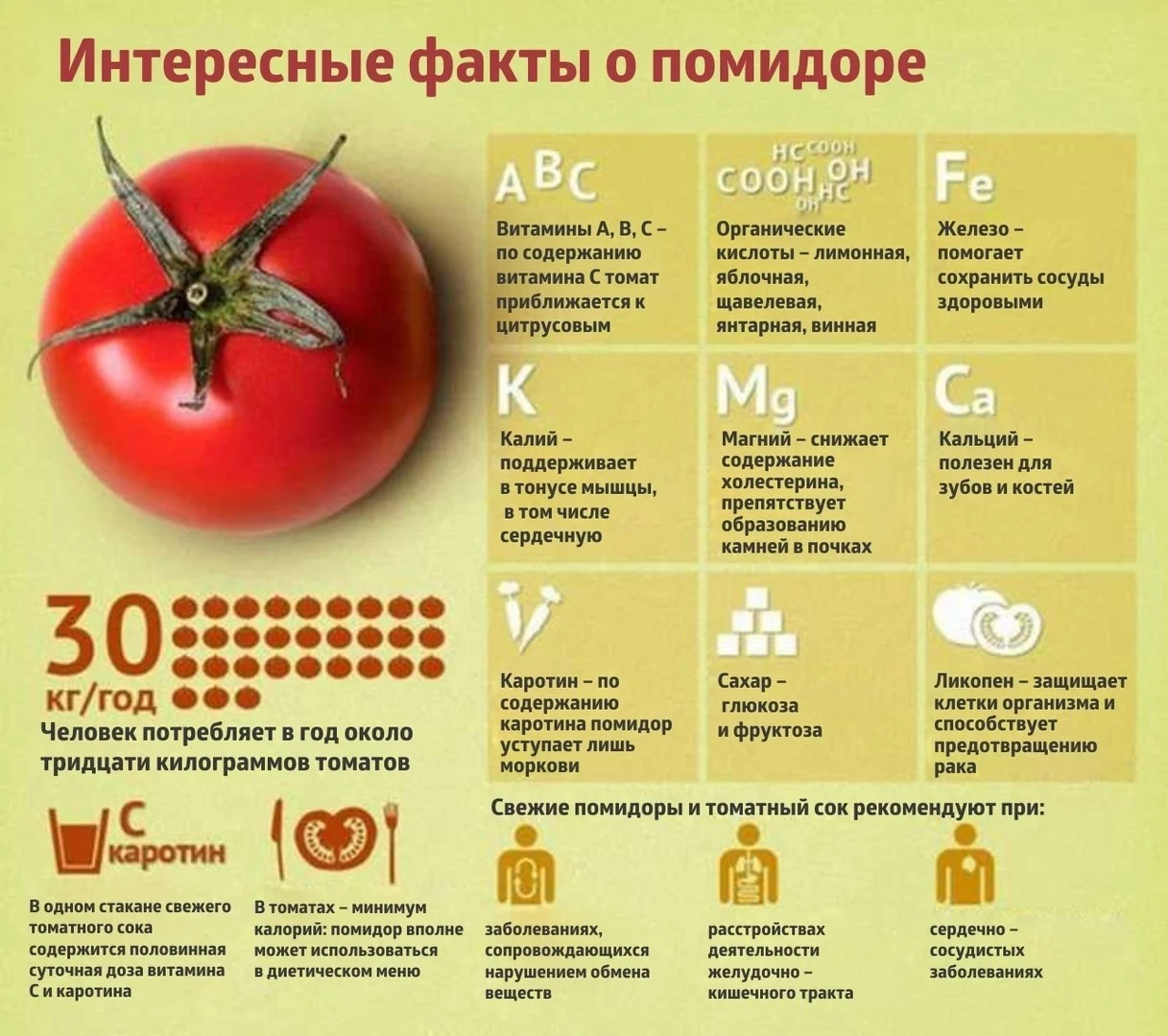 Коротко о важном - ПОМИДОР (томат)