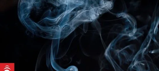 Новая Зеландия пожизненно запретила продажу табака людям, рожденным после 2009 года