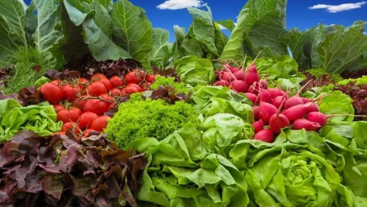 Топ 5 овощей с самым высоким содержанием питательных веществ