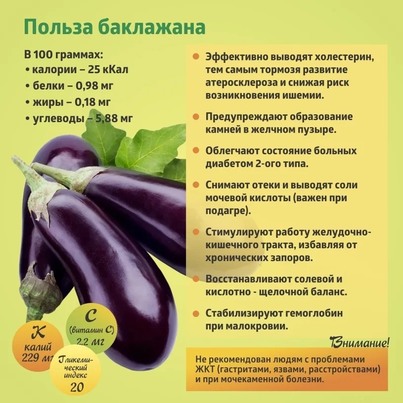 "Коротко о полезном" - БАКЛАЖАН