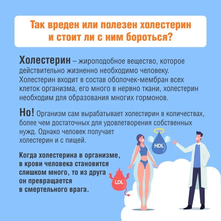 Холестерин_карточки2.jpg