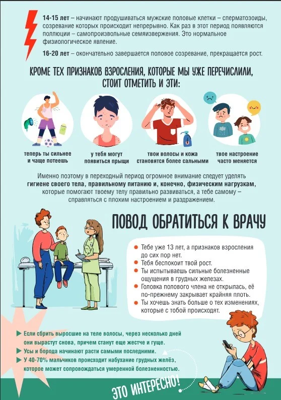 Изображение WhatsApp 2023-10-31 в 12.42.18_2c47a962.jpg